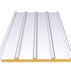 Sandviç Panel - Boyalı Saç Çatı Paneli (0.50mm - 0.40mm) 5 Metre